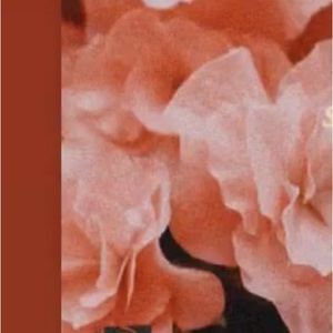 Meet your Posher, Ashraf